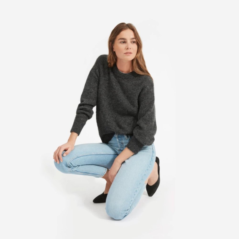 Everlane Oversized Alpaca Crew Sweater (Dark Grey) NWT